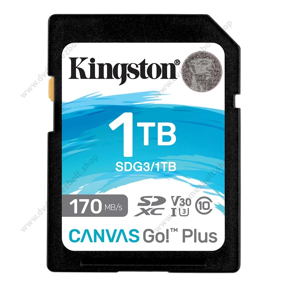 KINGSTON CANVAS GO PLUS SDXC 1TB CLASS 10 UHS-I U3 A2 V30 170/90 MB/s